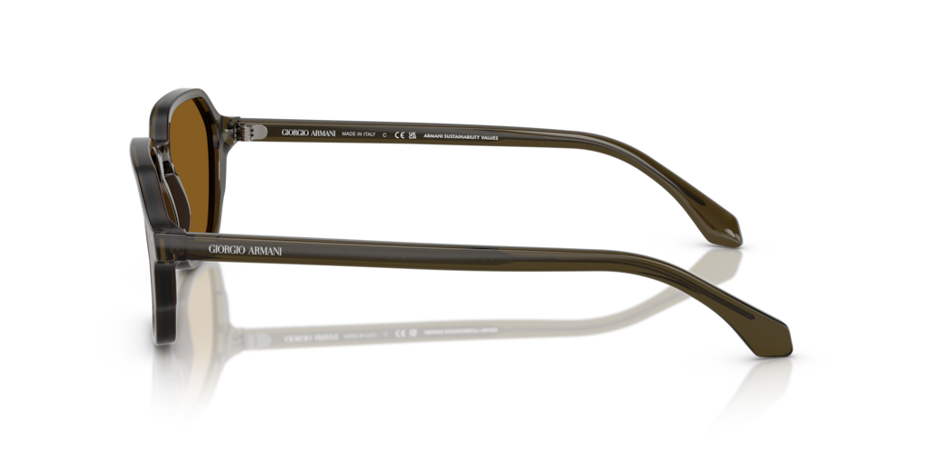 Giorgio Armani AR8220 616933 52 Güneş Gözlükleri