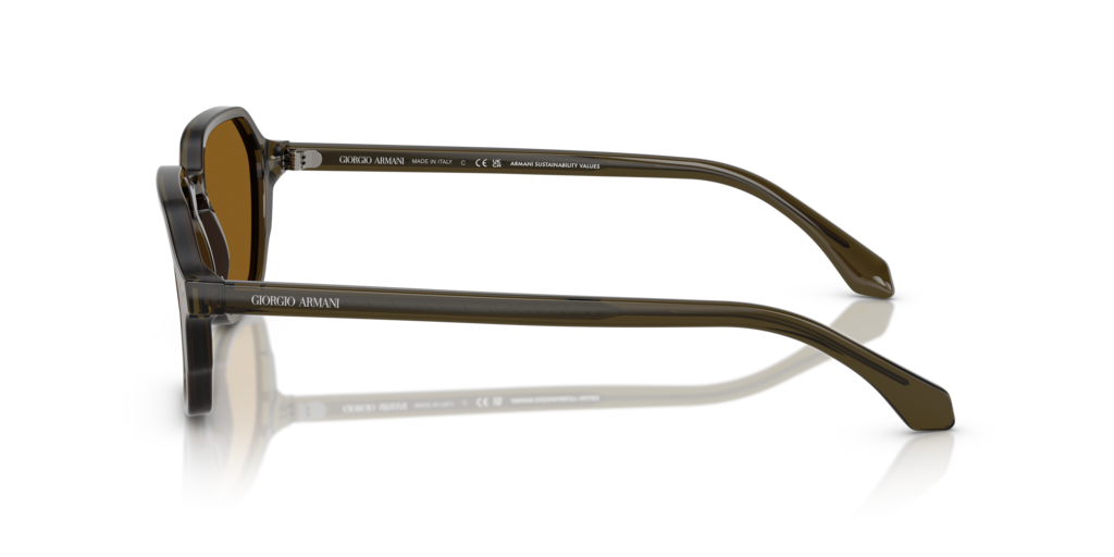 Giorgio Armani AR8220 616933 52 Güneş Gözlükleri