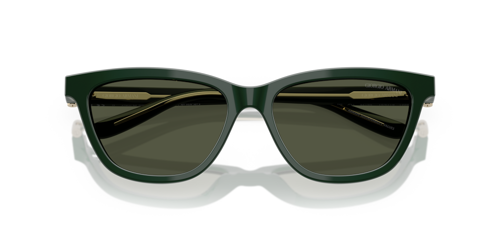 Giorgio Armani AR8221 617331