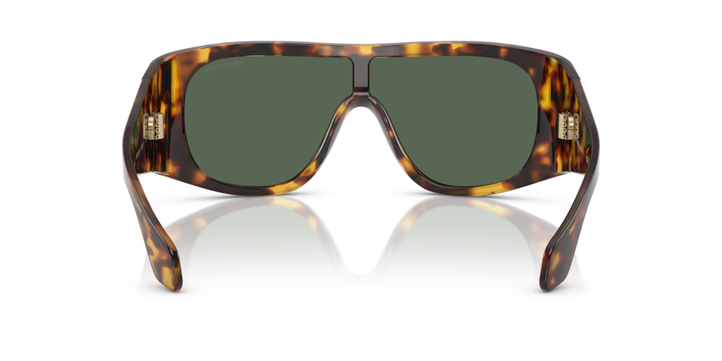 Giorgio Armani AR8222U 509271 24 Güneş Gözlükleri