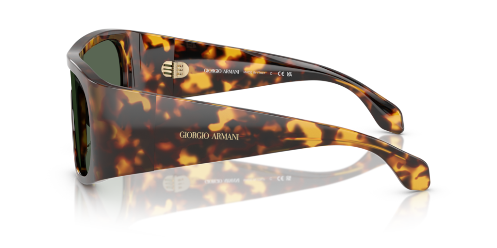 Giorgio Armani AR8222U 509271 24 Güneş Gözlükleri