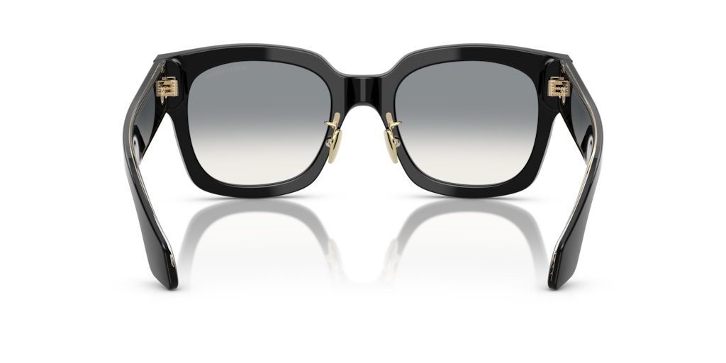 Giorgio Armani AR8223 500111