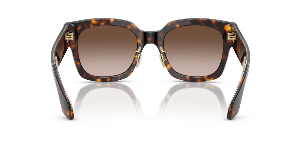 Giorgio Armani AR8223 502613 51 Güneş Gözlükleri