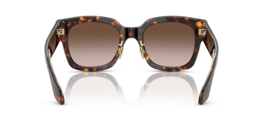 Giorgio Armani AR8223 502613 51 Güneş Gözlükleri