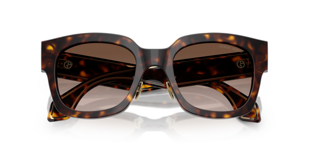 Giorgio Armani AR8223 502613 51 Güneş Gözlükleri