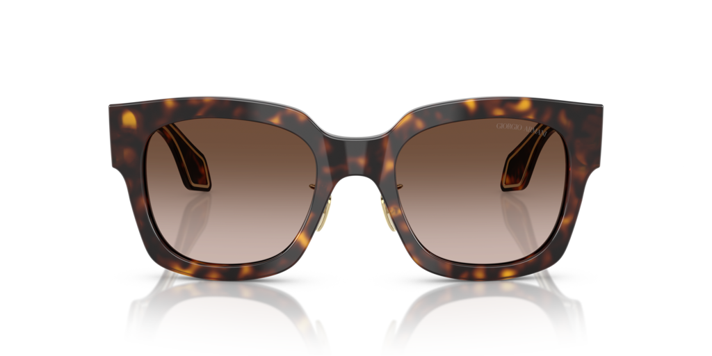 Giorgio Armani AR8223 502613 51 Güneş Gözlükleri