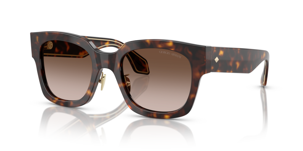 Giorgio Armani AR8223 502613 51 Güneş Gözlükleri