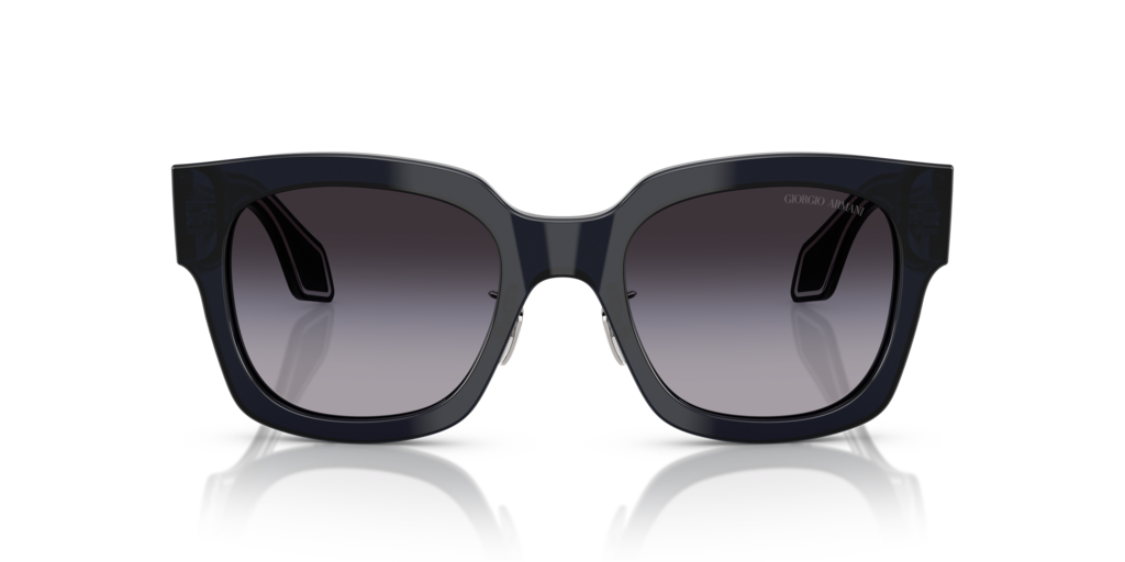 Giorgio Armani AR8223 61608G 51 Güneş Gözlükleri