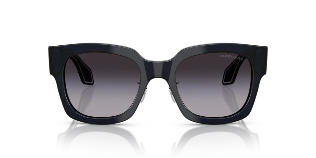 Giorgio Armani AR8223 61608G 51 Güneş Gözlükleri