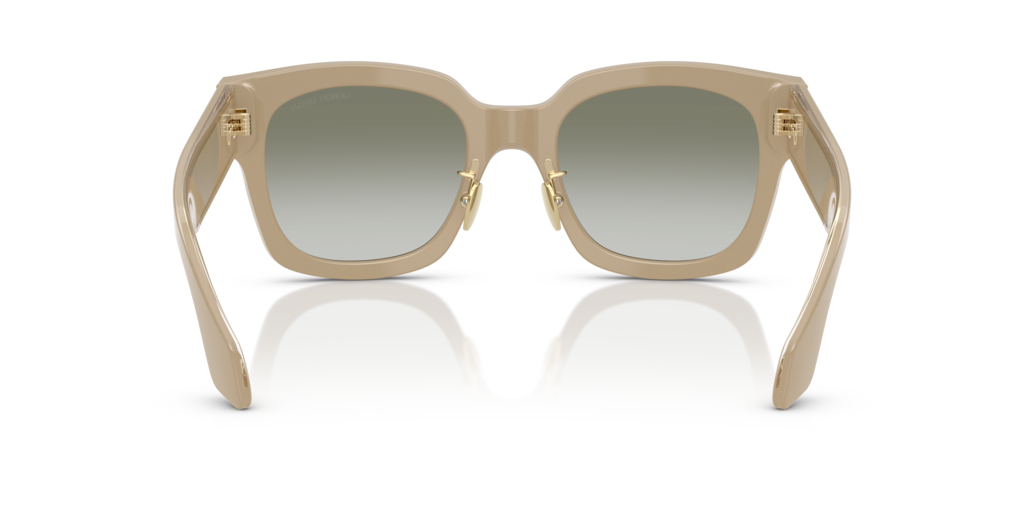Giorgio Armani AR8223 61618E