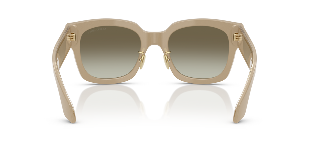 Giorgio Armani AR8223 61618E