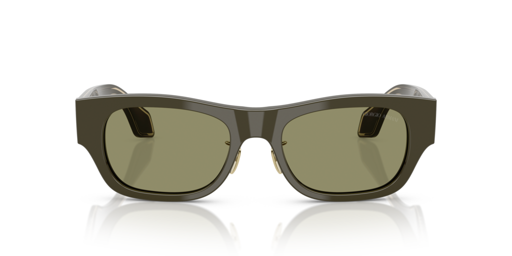 Giorgio Armani AR8224 61582A 52 Güneş Gözlükleri