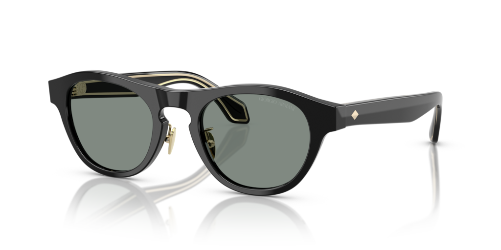 Giorgio Armani AR8225 500111 49 Güneş Gözlükleri