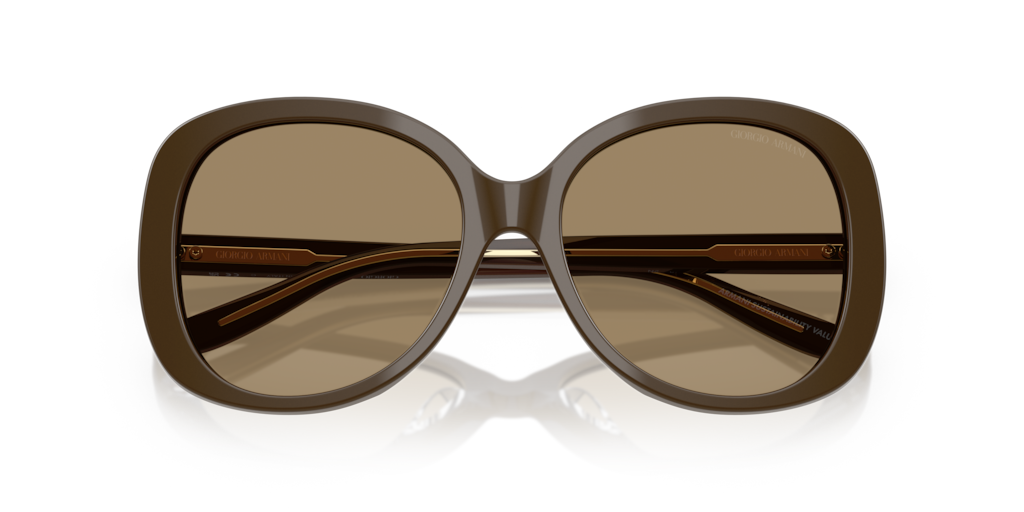 Giorgio Armani AR8229U 595753