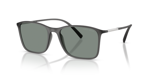 Giorgio Armani AR8231U