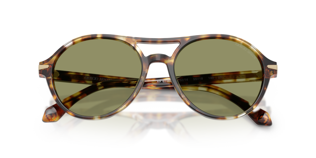 Giorgio Armani AR8236U 623214