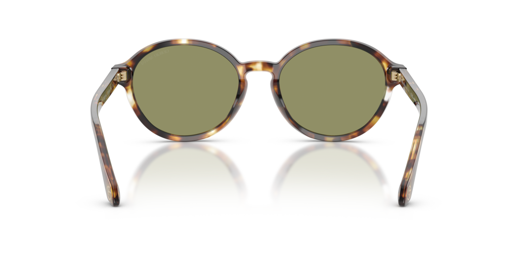 Giorgio Armani AR8237 623214