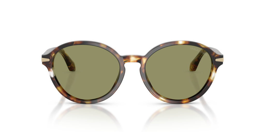 Giorgio Armani AR8237 623214