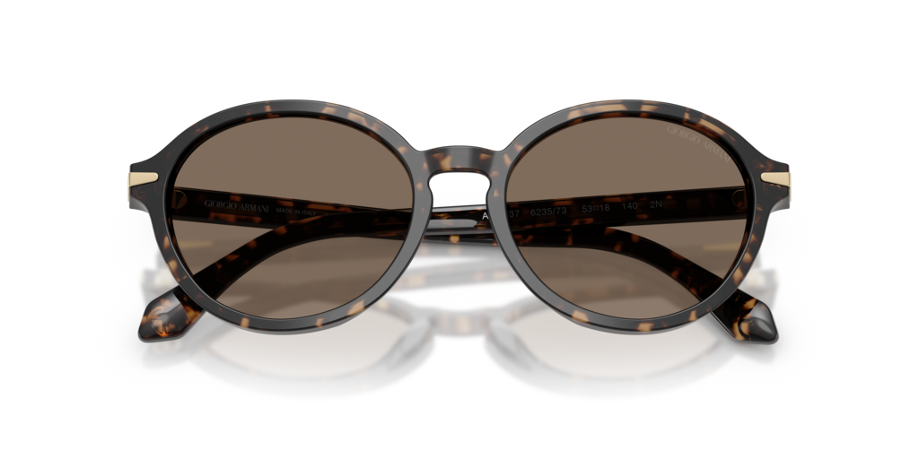 Giorgio Armani AR8237 623573