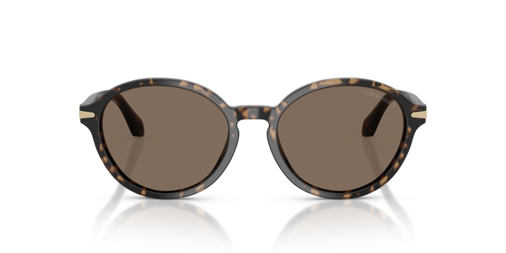 Giorgio Armani AR8237 623573
