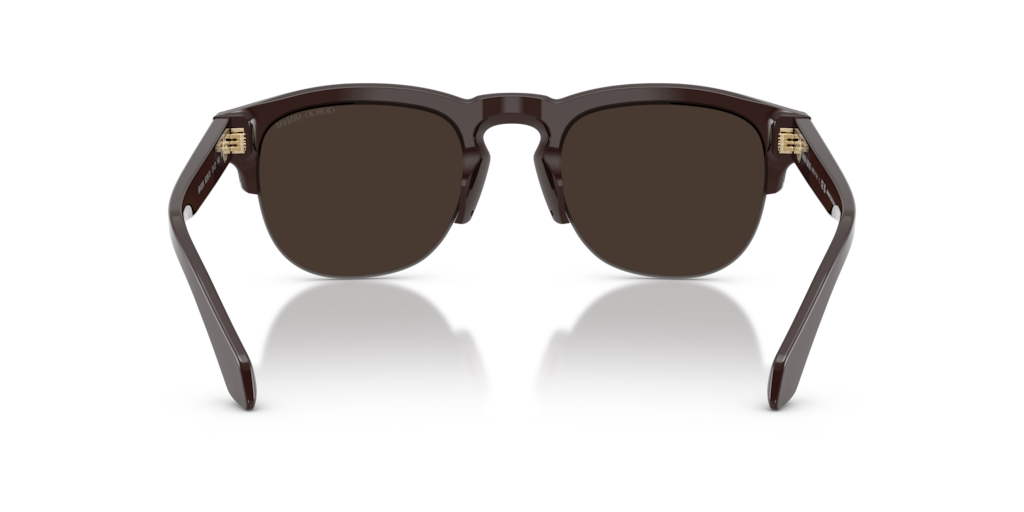 Giorgio Armani AR8238 622073