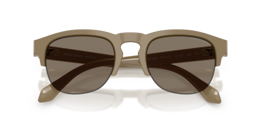 Giorgio Armani AR8238 622273