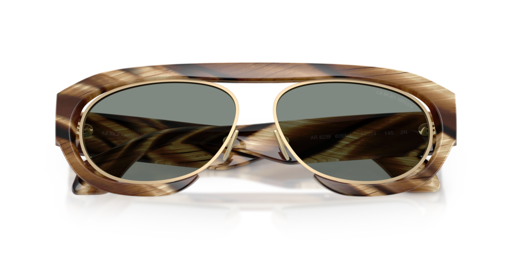 Giorgio Armani AR8239 6065/1