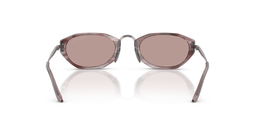 Giorgio Armani AR8242 630513