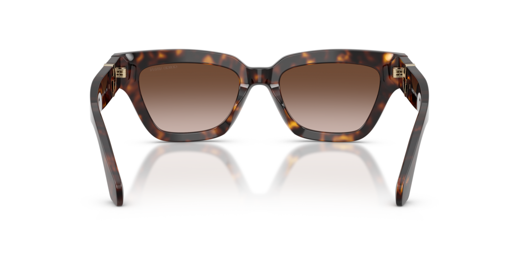 Giorgio Armani AR8246U 587913