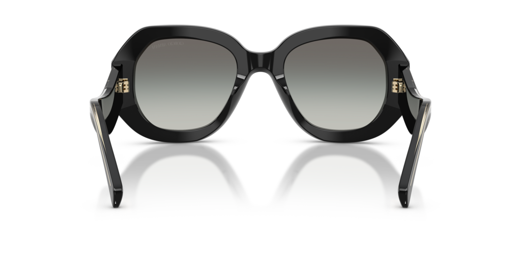Giorgio Armani AR8248 500111