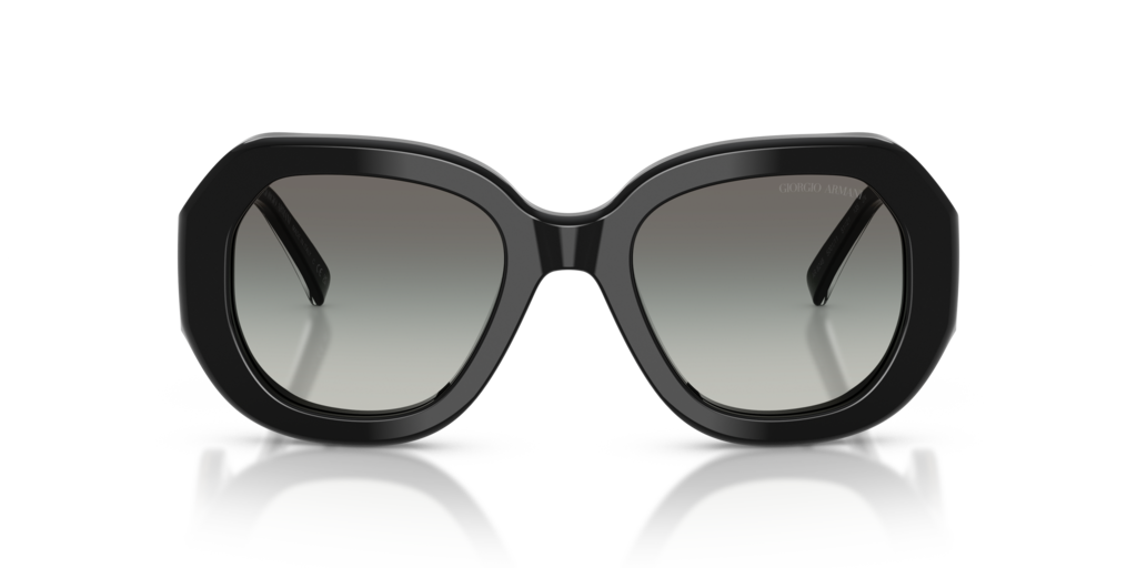 Giorgio Armani AR8248 500111
