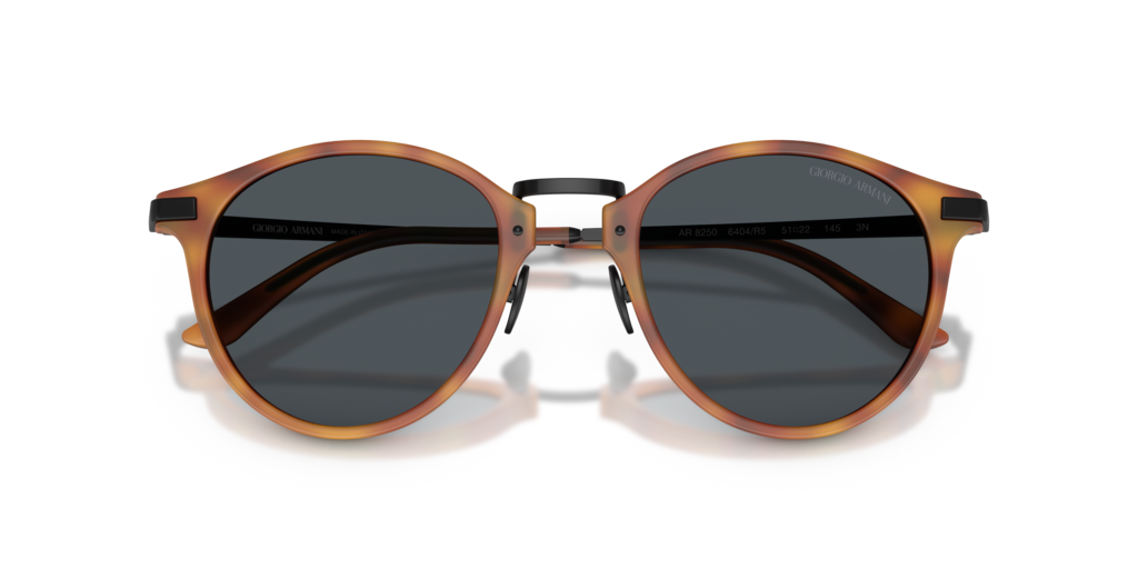 Giorgio Armani AR8250 6404R5