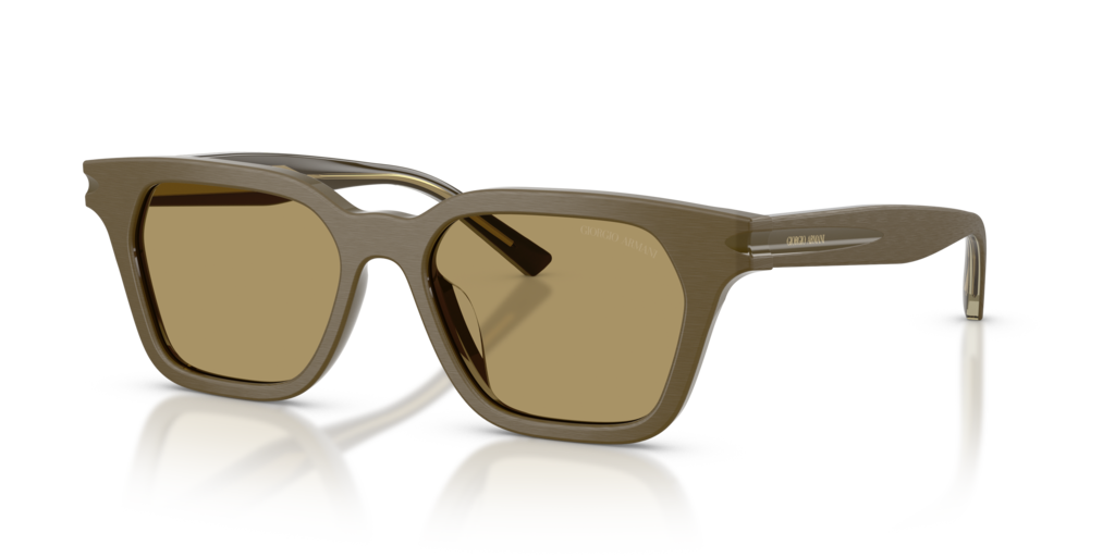 Giorgio Armani AR8251U