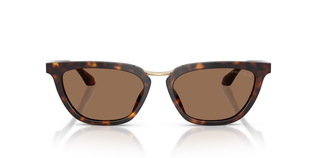 Giorgio Armani AR8253U 612473