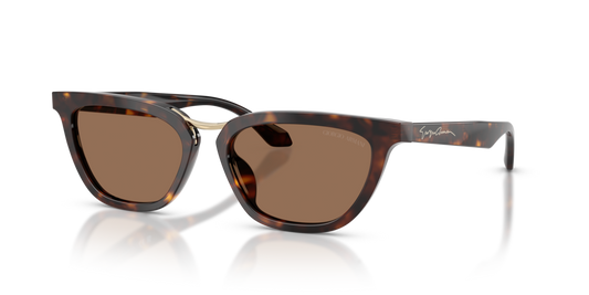 Giorgio Armani AR8253U