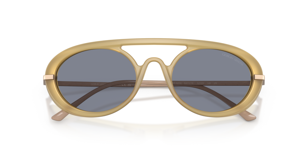 Giorgio Armani AR8256 641119