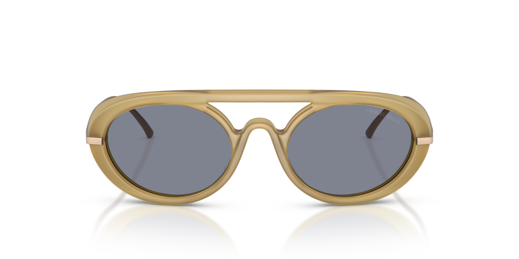 Giorgio Armani AR8256 641119