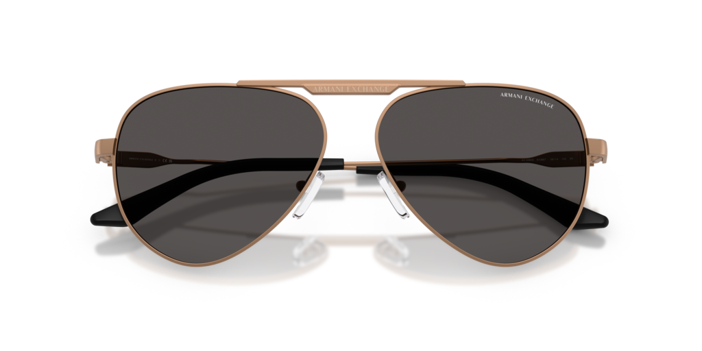 Armani Exchange AX2060S 610687