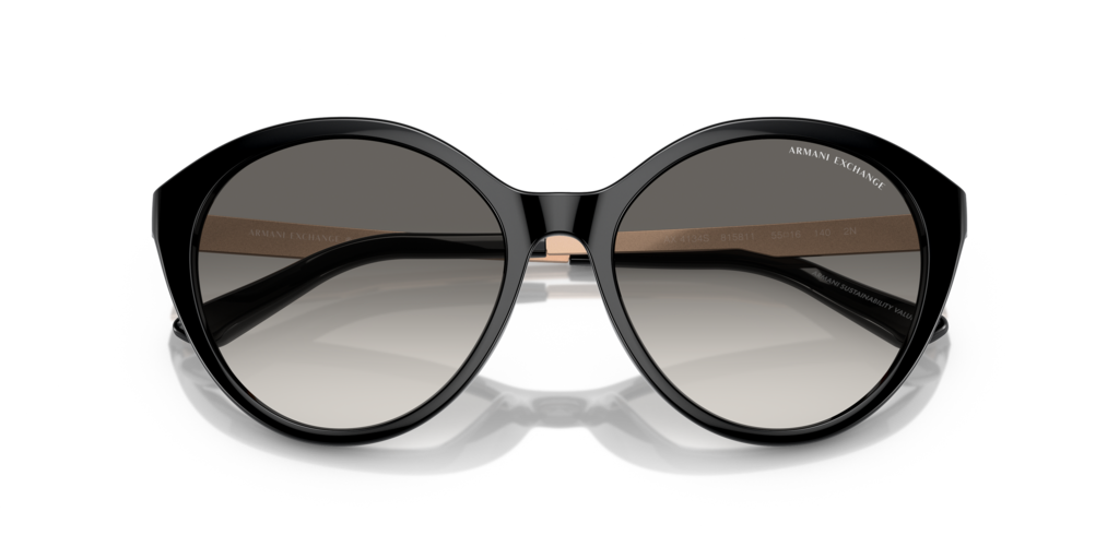 Armani Exchange AX4134S 815811