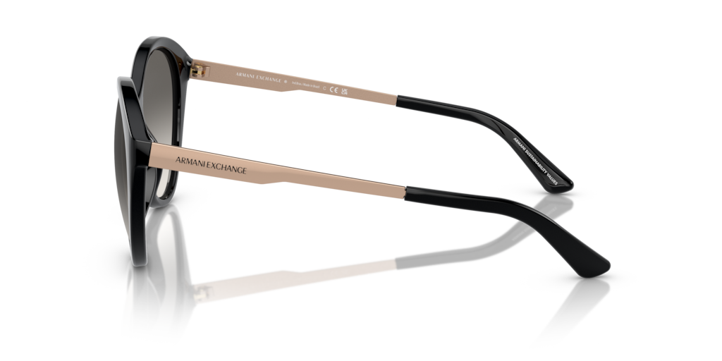 Armani Exchange AX4134S 815811