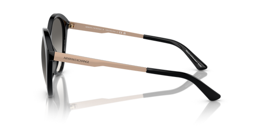 Armani Exchange AX4134S 815811