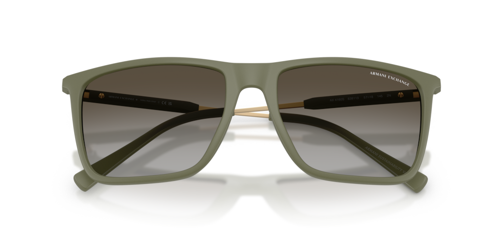 Armani Exchange AX4160S 838113