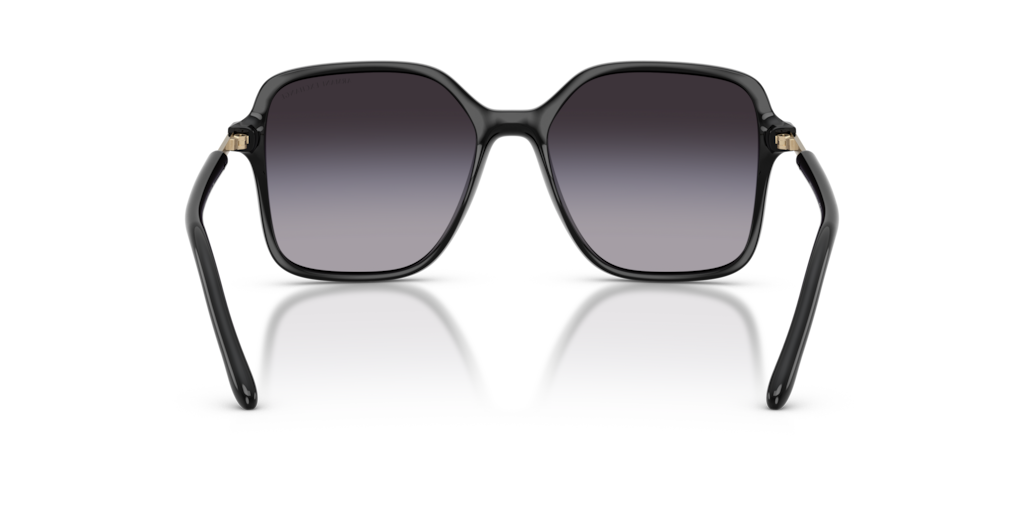 Armani Exchange AX4163S 81788G