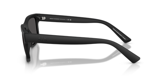 Armani Exchange AX4165S 807887