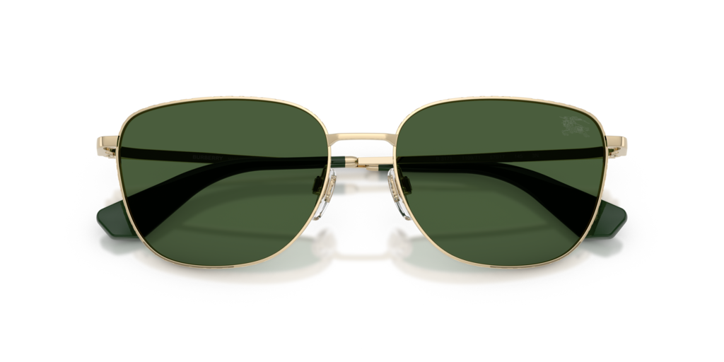 Burberry BE3171 110971