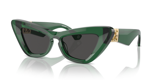 Burberry BE4421U