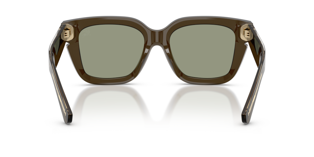 Burberry BE4453 3010/2
