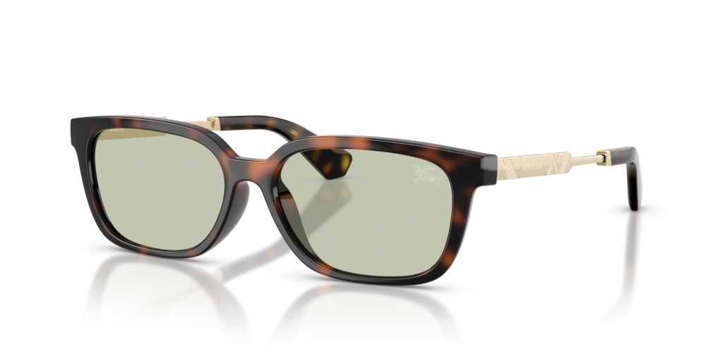 Burberry BE4481D