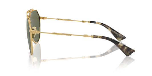 Dolce & Gabbana DG2302 02/58 - 60 - Güneş Gözlükleri