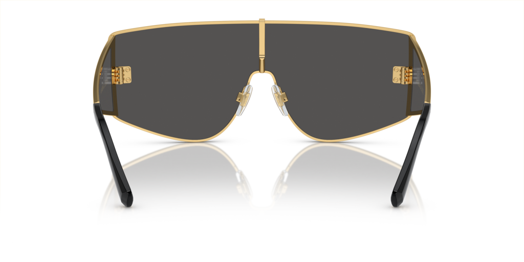 Dolce & Gabbana DG2305 02/87